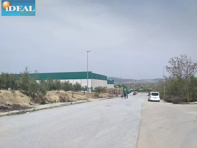 A5302D7. PARCELAS DE USO INDUSTRIAL  UBICADAS EN EL PP-3-I DE LACHAR — 3
