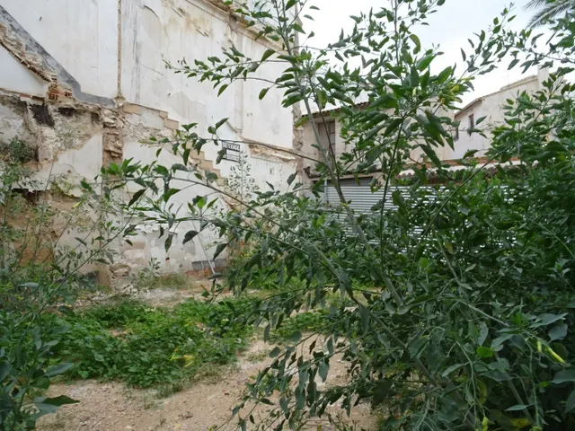 SE VENDE SOLAR URBANO EN EL CENTRO DE ASPE - foto 3