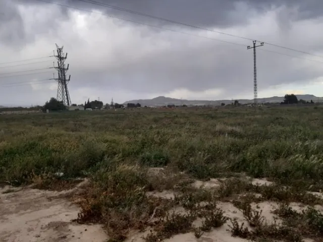 Parcela de terreno en el campet — 10