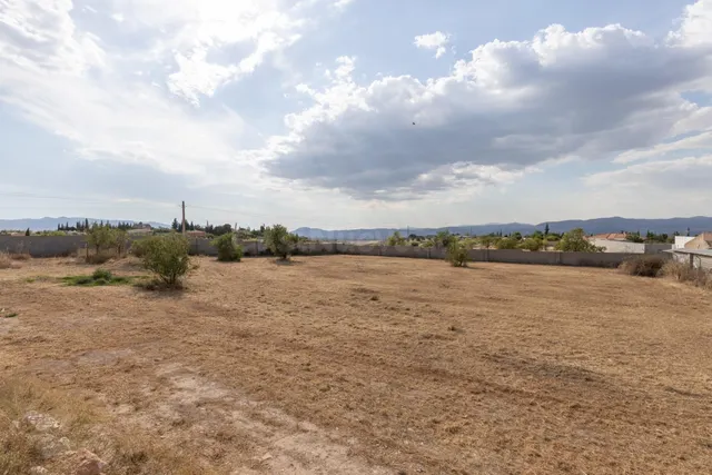 Terreno rural en venta - LOS TABLAZOS - foto 4