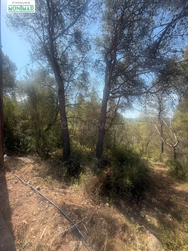 TERRENO DE 1.196 METROS EN CAN LLOSES (SANT PERE DE RIBES) - foto 2