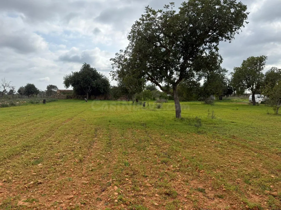 Terreno rústico de 38.493 m2 edificables en Llucmajor
