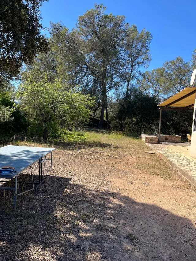Espectacular finca rústica en alquiler en Llubí – 2.400 €/mes — 17