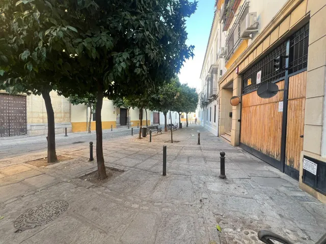 Amplio piso en alquiler en Plaza San Rafael, Córdoba — 38