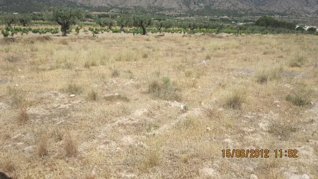 terreno - foto 4