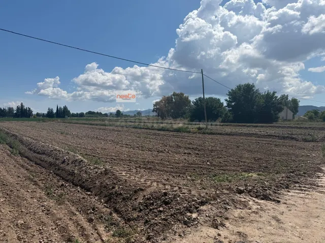 PARCELAS EN VENTA para Construcción de Chalets - foto 4