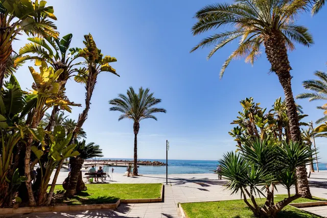 Apartamento reformado en Playa del Cura, Torrevieja — 26
