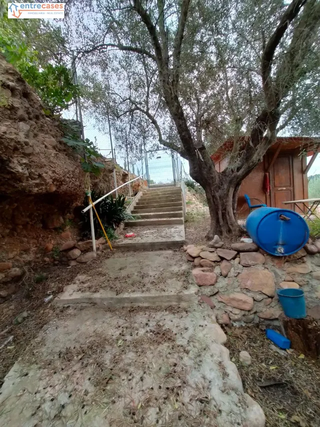 CONJUNTO DE PARCELAS EN PETRÉS — 13