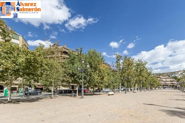 Pisazo en paseo del salón - Granada — 45