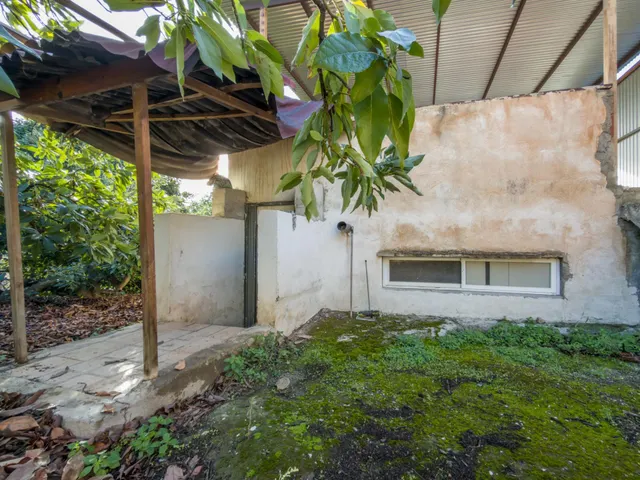 Finca rústica de AGUACATES con CONTRUCCIÓN de 37 m2 en Los Guájares (Faragüit) — 14