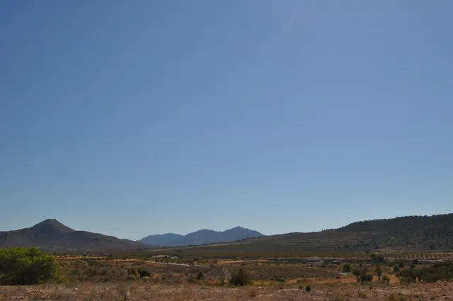 Parcela en venta - Macisvenda — 16