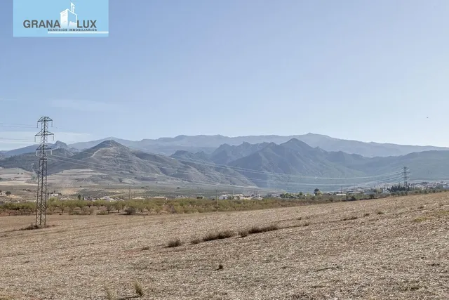 2 solares de 780m2 cada uno. Precio de cada solar 99.000€. — 11