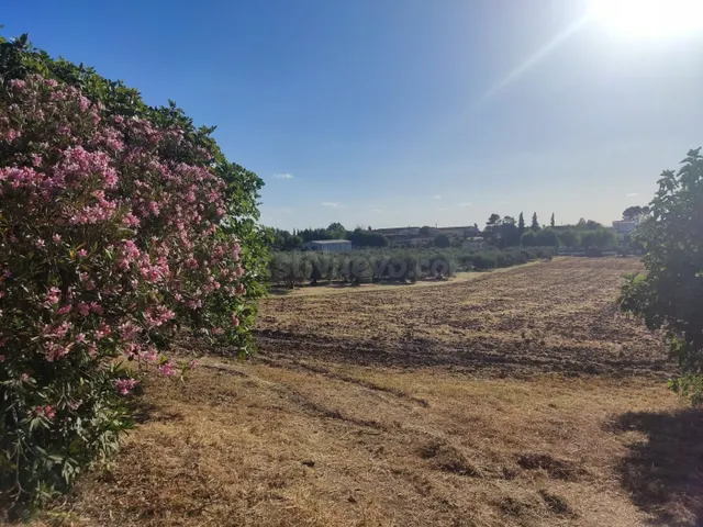 Terreno de 20.000 m2