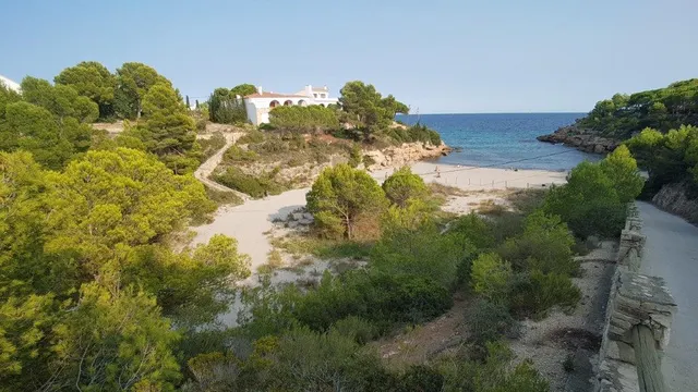 Finca rústica en venta - Afueras del pueblo — 11