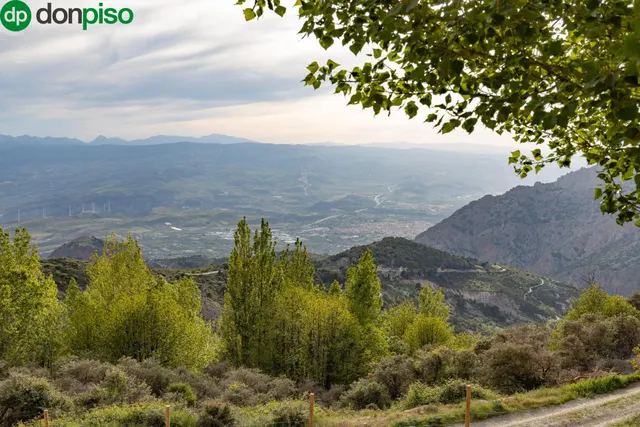 Cortijo Sierra Nigüelas — 40
