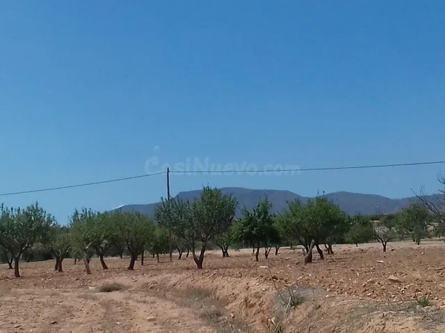 Suelo rústico en Venta en Blases, Los (Cuesta Blanca) Murcia - foto 4