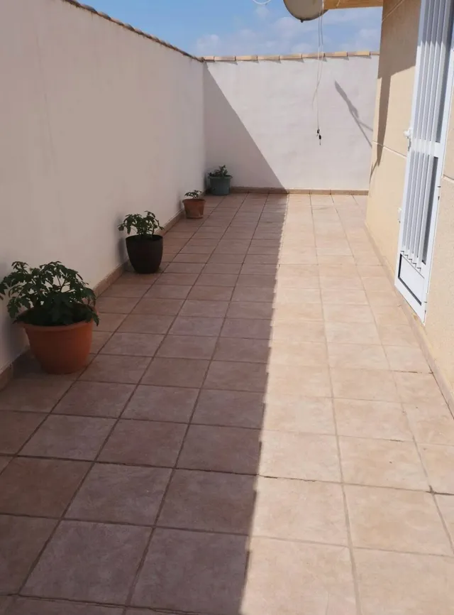 Villa 6 habitaciones 338m² en venta - La Siesta - El Salado - Torreta — 36