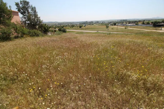 Terreno rural en venta - Alrededores - foto 3