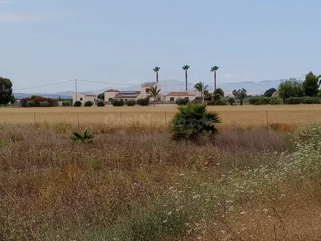 Parcela 11900m² en venta - Costa blanca sur