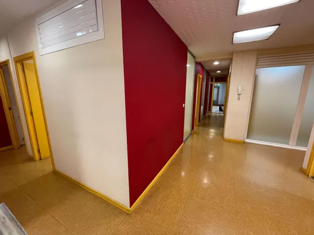 Despacho 268m² en alquiler - Paseo Zorrilla — 17