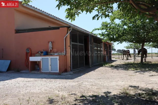 CAMPO CON NAVE IDEAL PARA LOS AMANTES DE LOS CABALLOS en LLI
