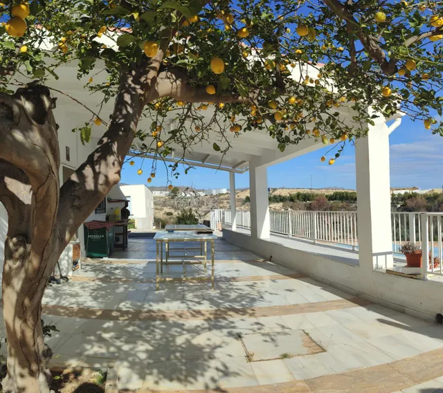 CASA EN FINES ( ALMERIA ) DE 4 habitaciones CON TERRENO Y PISCINA. — 8
