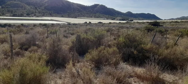 PARCELA 30.000 METROS DE TERRENO — 16