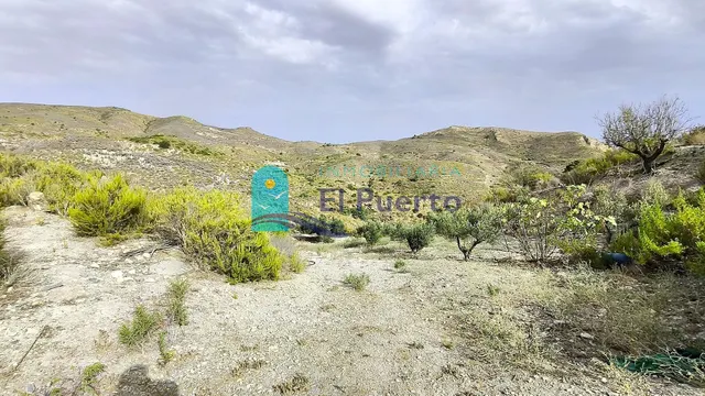 TERRENO RUSTICO CON CASA EN RUINA PARA REFORMAR — 7