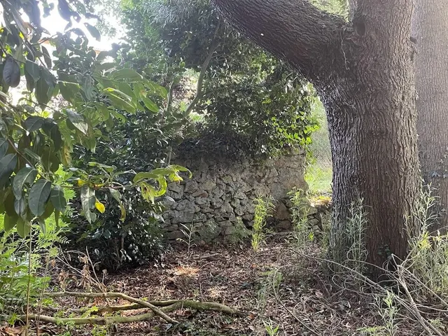 CASA SEÑORIAL DE 1807 CON FINCA DE 6.500M2. PERFECTA CASA RURAL — 49