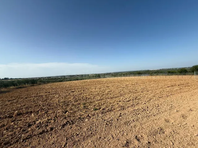 Terreno rural en venta - Andalucia - foto 2