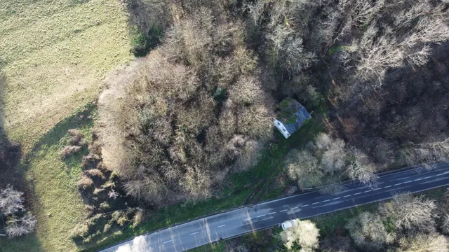 Oportunidad real: casa con parcela para rehabilitar en Tineo — 33