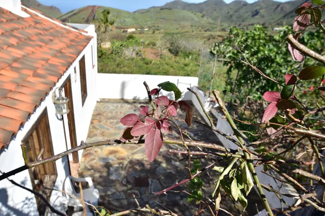 PRECIOSA CASA CANARIA EN BUENAVISTA DEL NORTE — 4