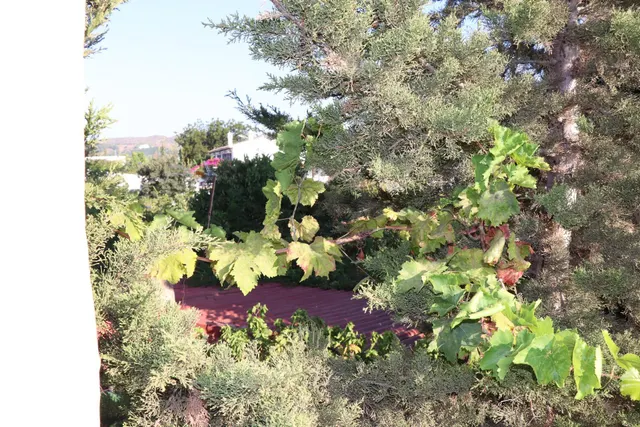 Terreno urbano Alhaurin de La Torre — 6