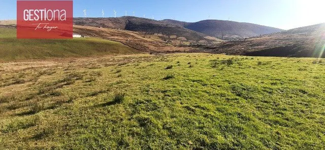CABAÑA EN PLENA NATURALEZA, SAN PEDRO DEL ROMERAL. — 8