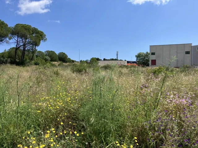 P12 Magnifica Parcela Industrial en L'Escala