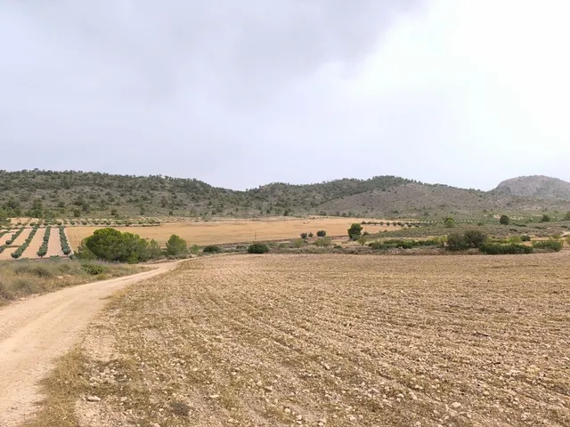 Parcela en venta - Ayuntamiento - foto 2