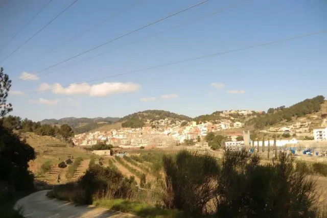 TERRENO RÚSTICO DE SECANO DE AVELLANOS - RIUDECOLS — 15