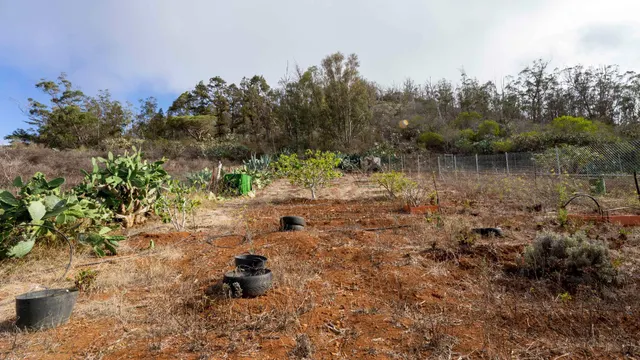 Terreno urbano en Tacoronte. — 40