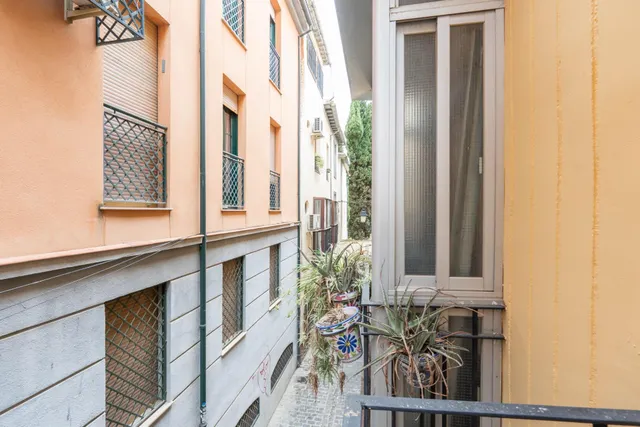ALQUILER PARA ESTUDIANTES (ZONA REALEJO) — 15