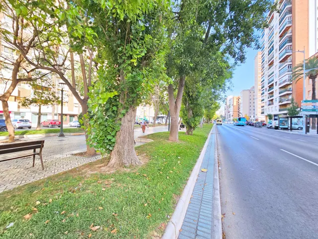 Se vende amplio piso de 4 dormitorios en Alameda de San Antó - foto 5