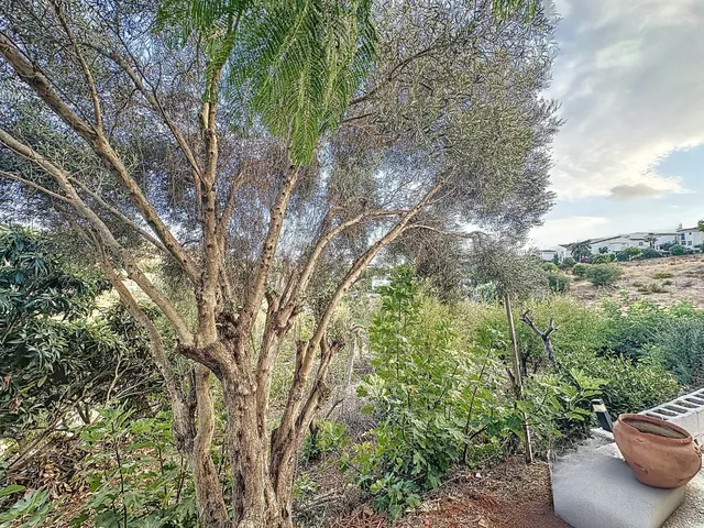 Finca Agrícola 2 habitaciones 111m² en venta - Costa Del Sol — 28