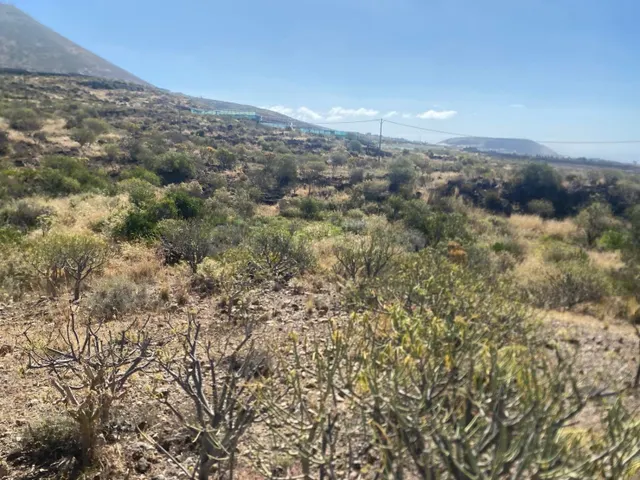 Interesante terreno de 11.223m2 anexo al circuito de Alta Ve - foto 5