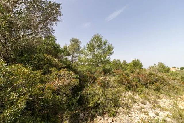 PARCELA ECONÓMICA EN MONSERRAT, EN LA URBANIZACIÓN COLINAS VENTA CABRERA. — 7