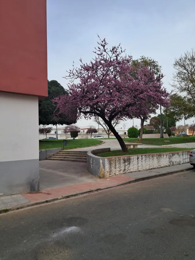 APARTAMENTO DE DOS DORMITORIOS, AMUEBLADO A ESTRENAR — 18
