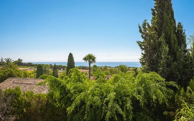 Chalet 20 habitaciones 1785m² en venta - Marbella — 24