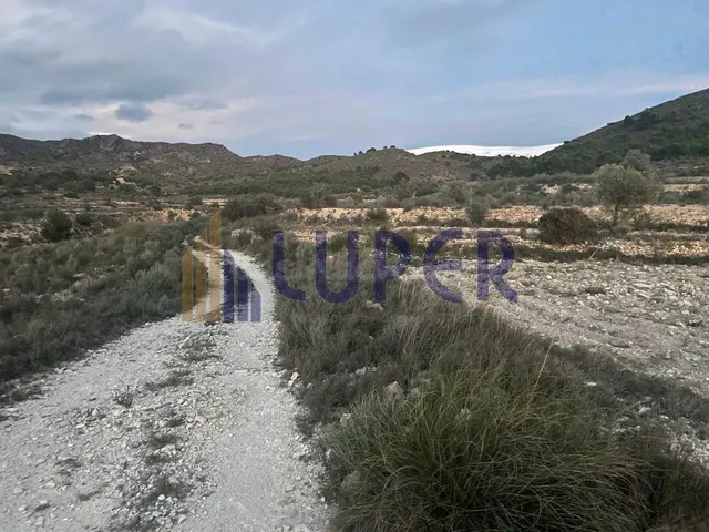 Finca Rústica en Agost 12.680m2 en el Ventor. - foto 4