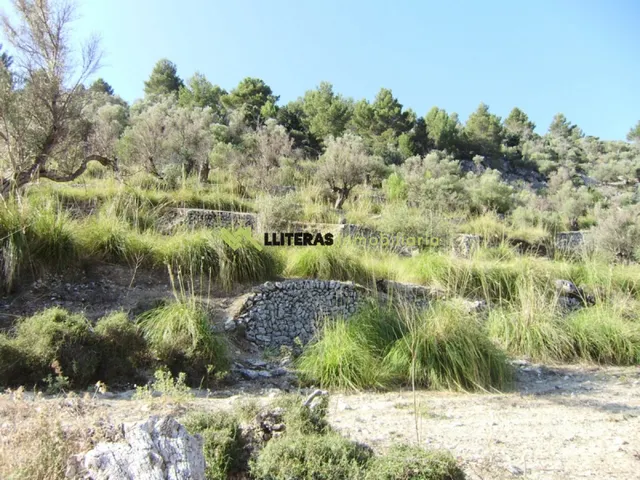 Fantástica finca para restaurar con vistas increíbles — 10