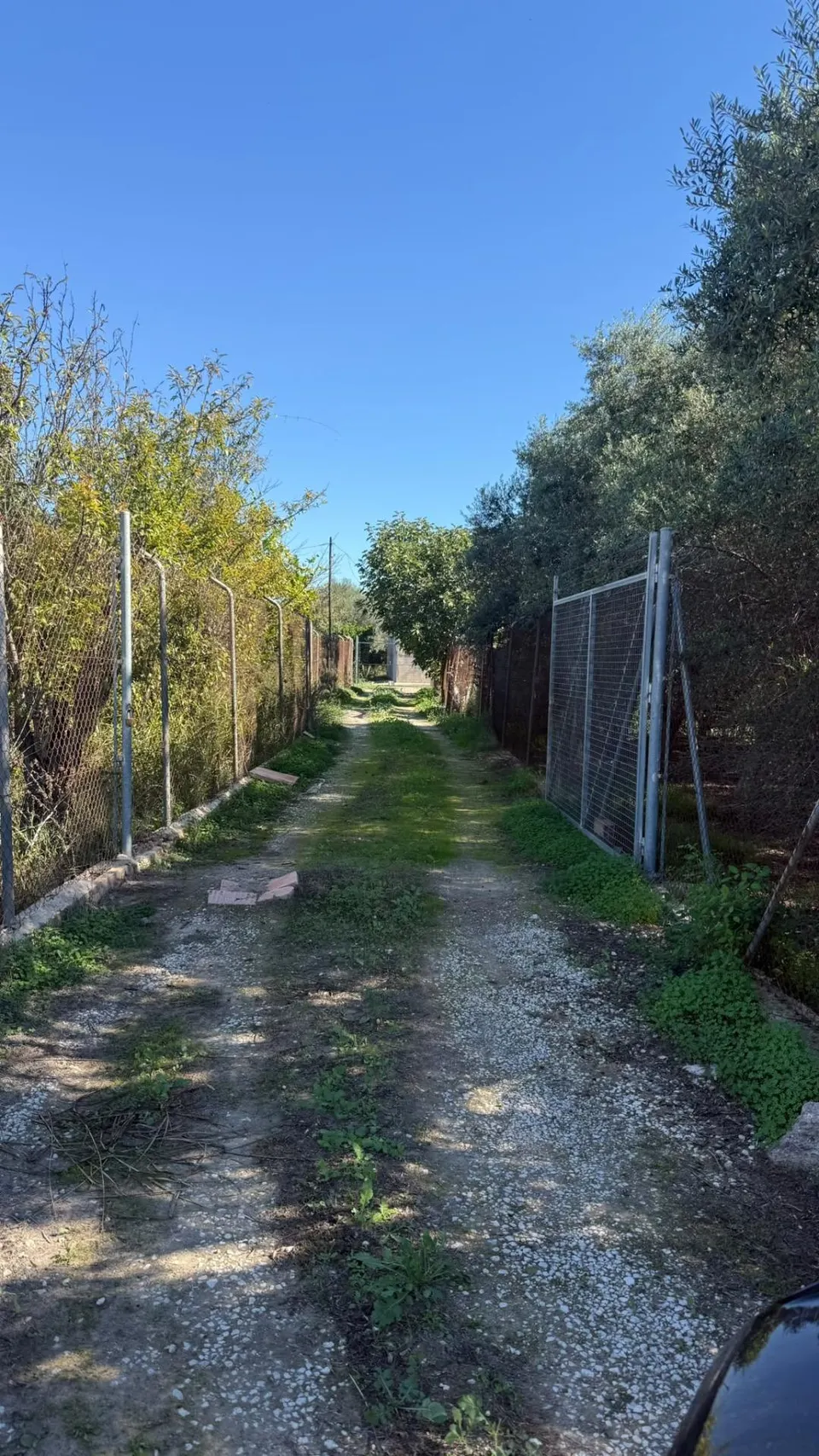 Oportunidad de Inversión en Terreno Rústico - La Alberca, Murcia