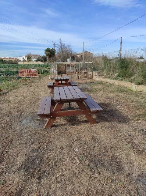 HUERTOS URBANOS EN ALAQUÀS — 11