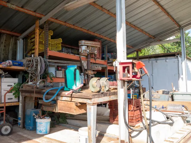 Finca Rústica de 20.000m2 con vivienda en venta. — 47